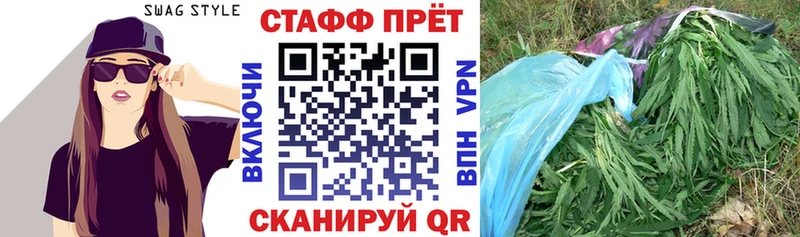 Галлюциногенные грибы Кедровый