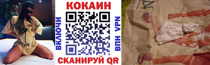 COCAIN Fish Scale  Купить где  Кедровый 