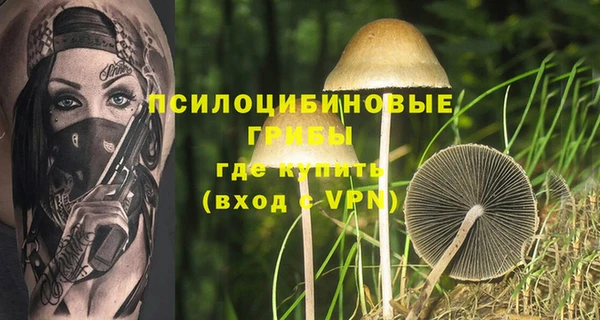 spice Вязьма