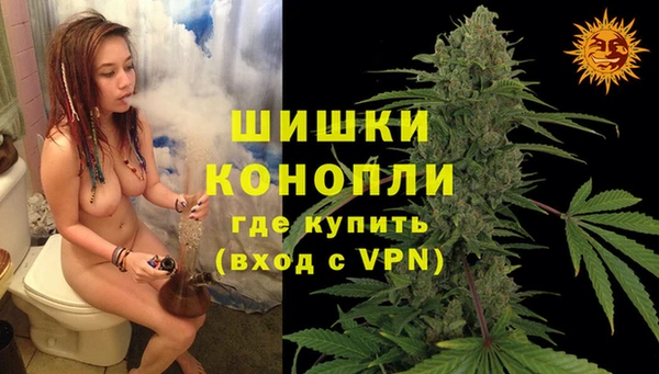 spice Вязьма