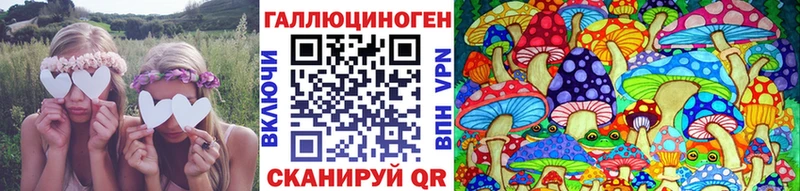 Галлюциногенные грибы прущие грибы  Купить  Кедровый 